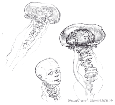 Jellyfish Evolution