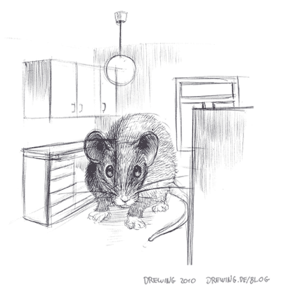 nightlysketch266 Mus Musculus, (c) Ingmar Drewing