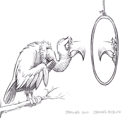 Keep Mirrors Out Of Birdcages