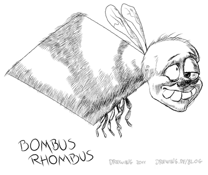 Bombus Rhombus