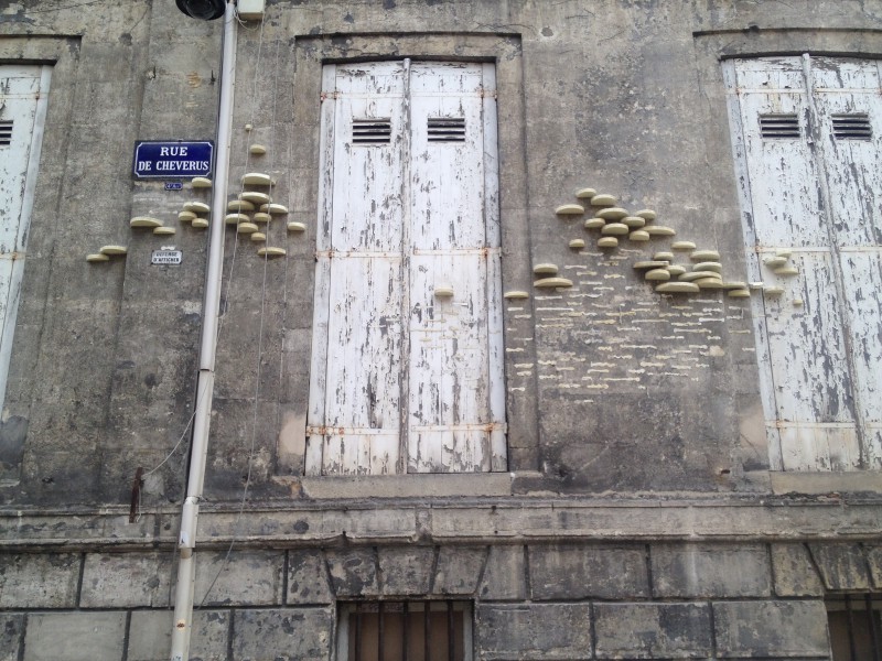 Bordeaux, architecture, Bracket fungus (artificial)